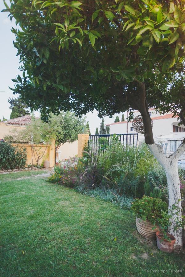 Zacharoulas Katikies Amarynthos Luaran gambar